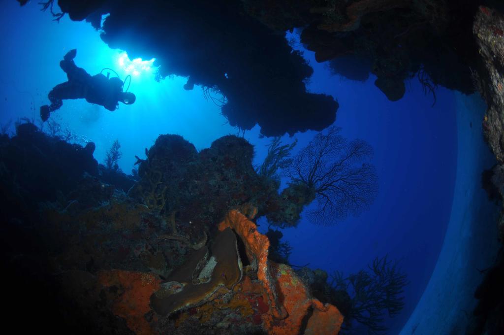 Bohio Dive Resort Cockburn Town Exteriér fotografie